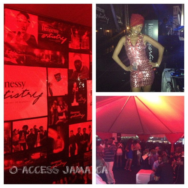 The Host of  Hennessy Artistry Diva Nikki Z rocked  her dress.