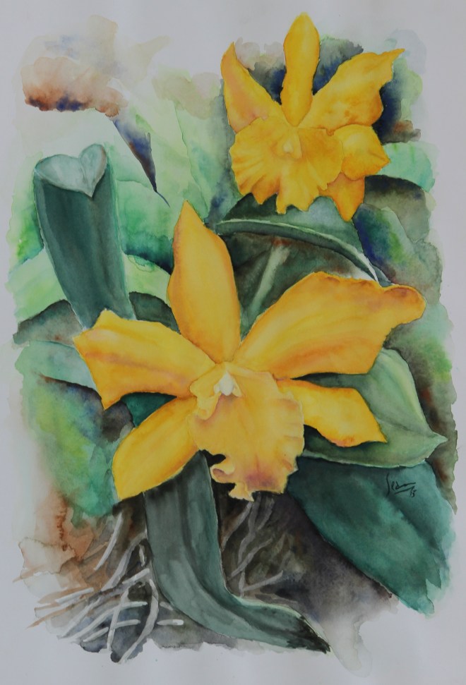 Yellow Cataleya by Sean Henry